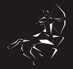 Échiquier Électronique DGT Centaur -Internationalité Échecs Magasin DGT Centaur echiquier electronique acheter pegasus