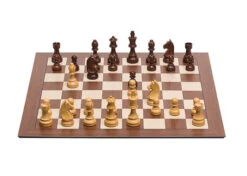 Jeu D'Échecs Électronique DGT (USB Smartboard)