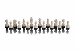 Millennium Europe Chess Champion -Internationalité Échecs Magasin M800 chesspieces white 1920x1920 1