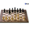 Échiquier Électronique DGT Eboard Bluetooth 2 Échiquier Électronique DGT Eboard Bluetooth -Internationalité Échecs Magasin bluetooth e board walnut 2