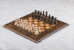 Échiquier Professionnel Et Son Jeu D'échecs
