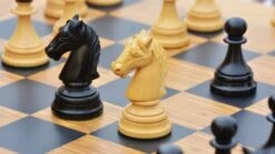 Jeu D'Échecs Tchèque -Internationalité Échecs Magasin jeu dechecs tcheque fou
