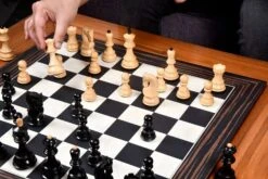 Pièces D'Échecs Russes -Internationalité Échecs Magasin pieces dechecs russes joueurs